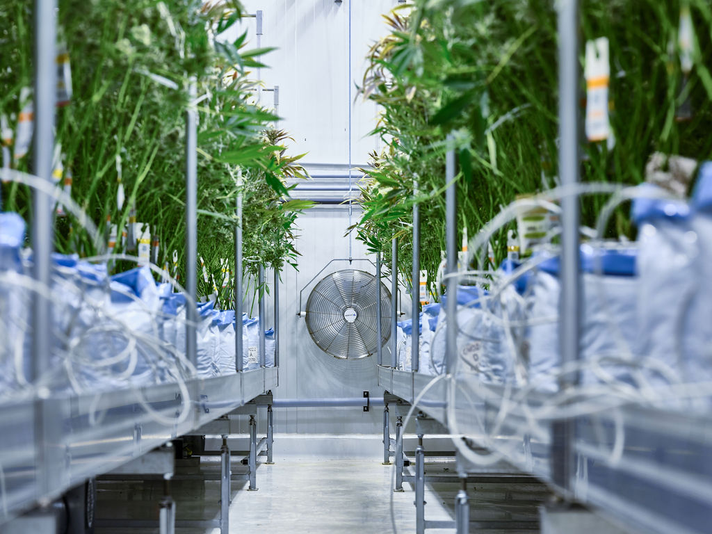 PURPLEFARM team and culture — people, tools, and craft