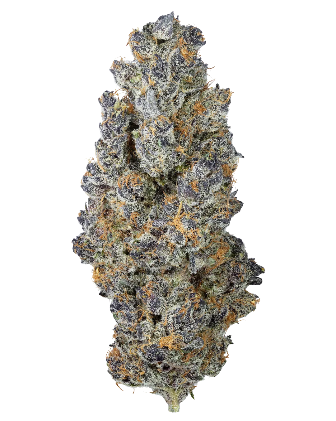 Halle Berry cannabis flower by PURPLEFARM